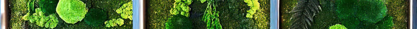 What Are Preserved Plants? - MagicGardens