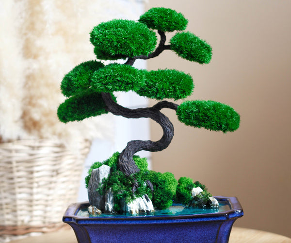 dracaena warneckii lemon lime United Nursery 10 in. Dracaena Lemon Lime Plant in White Decor Pot
