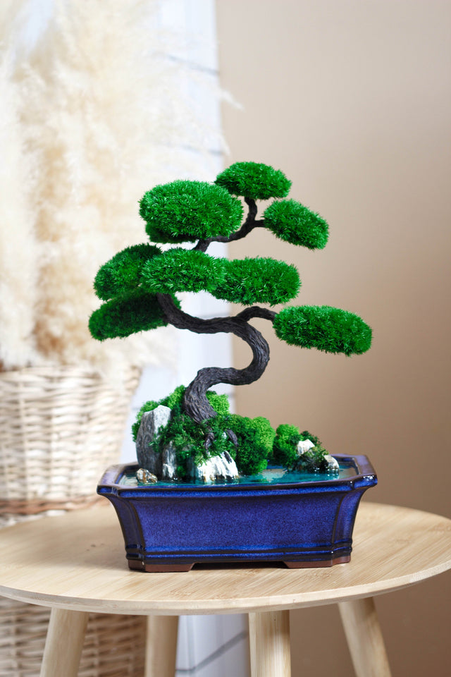 Bonsai - MagicGardens