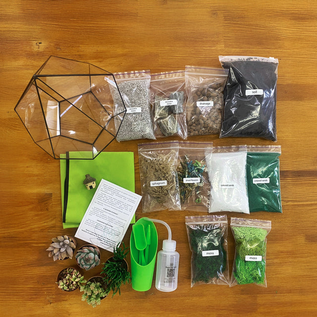Terrarium kit