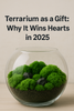 Terrarium Gift Ideas 2025 | Unique Eco-Friendly Decor by Magic Gardens