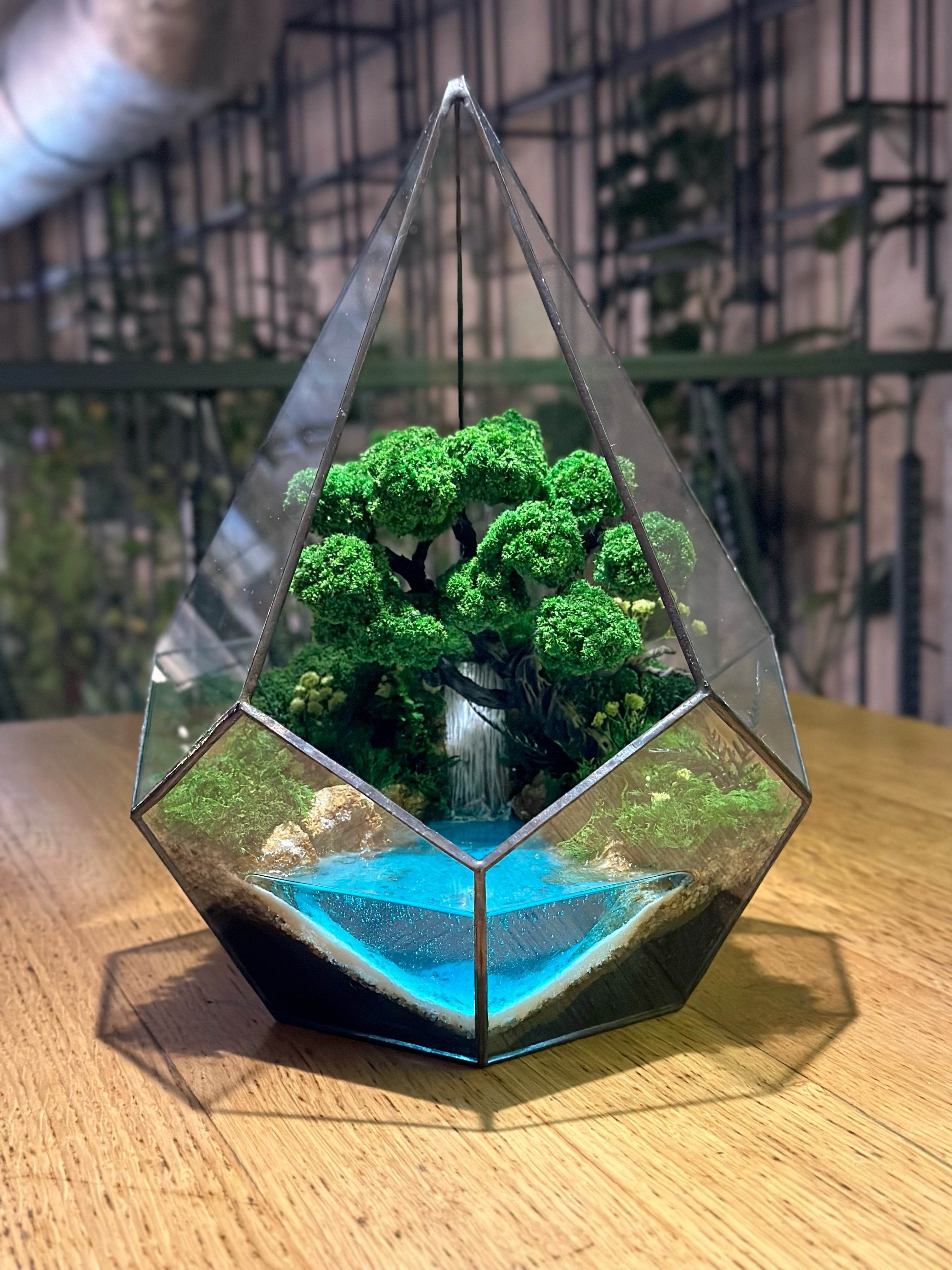 What Is a Terrarium?