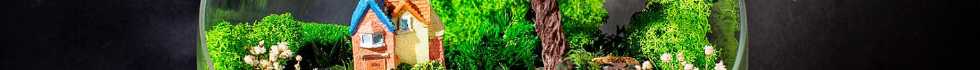 Why Preserved Moss Is the Ultimate Zero-Maintenance Decor Trend