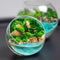 Mini Terrariums