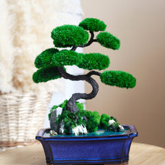 Bonsai - MagicGardens