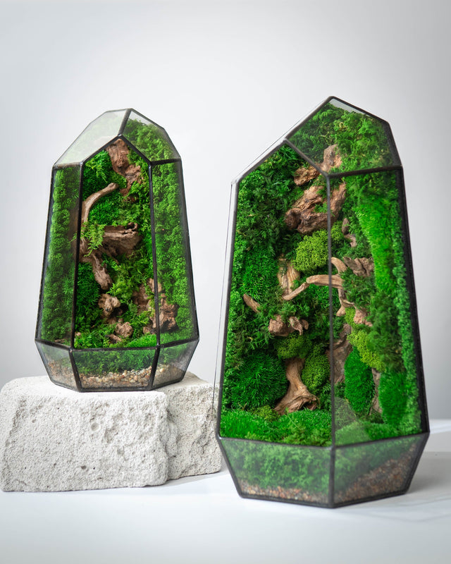 Open Terrariums