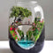 Moss Terrariums