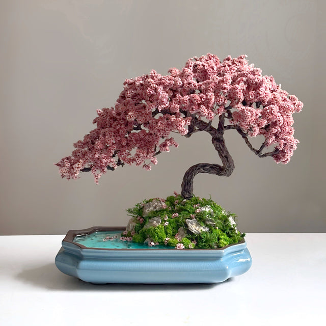 Cherry Blossom Bonsai