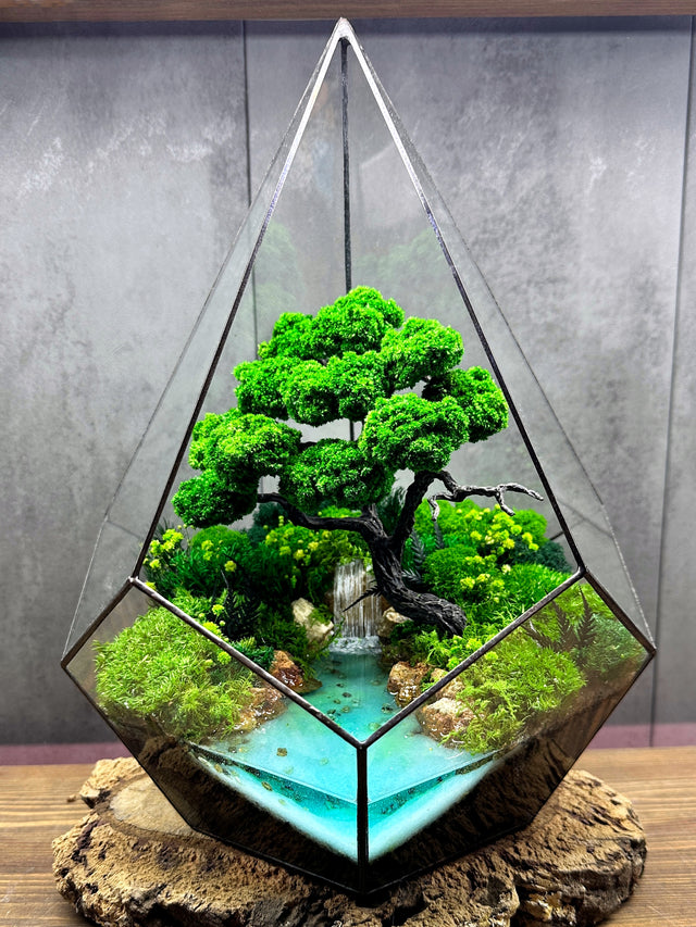 Terrariums