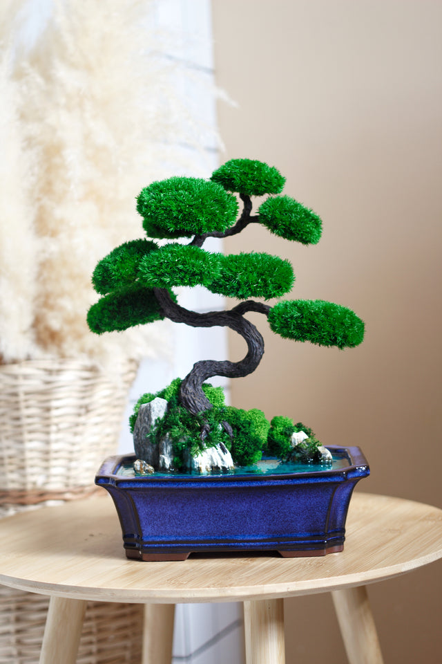 Bonsai