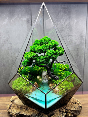 Bonsai Terrarium for Sale  Mini Bonsai in Terrarium | Magic Gardens