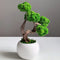 Mini Bonsai