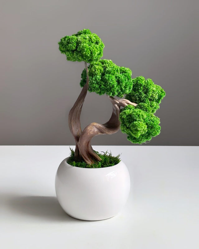 dbkd pflanztopf Blumentopf Solid