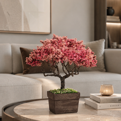 Collection image for: Peach Bonsai