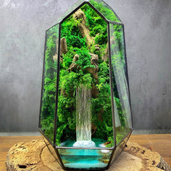 Bestsellers - MagicGardens