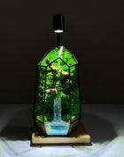 Terrario de cristal minimalista con cascada de bosque y lámpara LED
