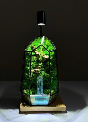 Terrario de cristal minimalista con cascada de bosque y lámpara LED