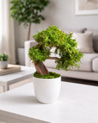 Mini Preserved Moss Bonsai Tree – Handmade Zen Japandi Home Decor