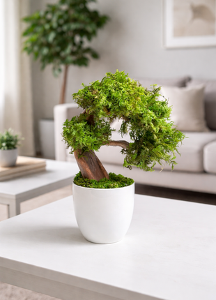 Mini Preserved Moss Bonsai Tree – Handmade Zen Japandi Home Decor