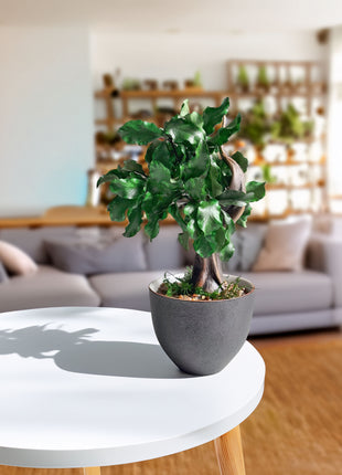 Mini Preserved Bonsai Tree in Gray Pot – Handmade Zen Japandi Decor