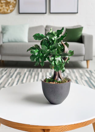 Mini Preserved Bonsai Tree in Gray Pot – Handmade Zen Japandi Decor