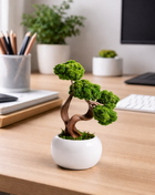 Mini Preserved Moss Bonsai Tree in White Ceramic Pot – Handmade Zen Desk Decor