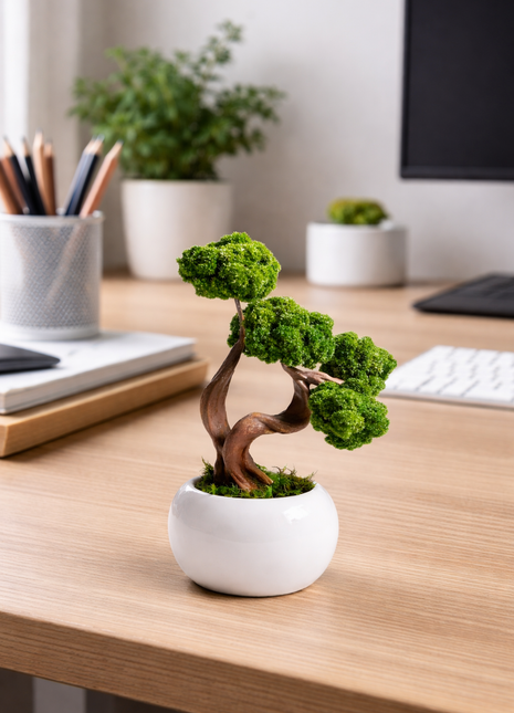 Mini Preserved Moss Bonsai Tree in White Ceramic Pot – Handmade Zen Desk Decor