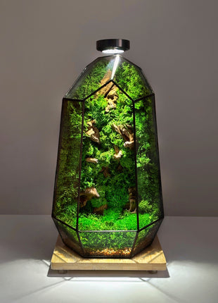 Illuminated Geometric Terrarium with Preserved Moss, Wooden Decor & LED Lamp Included