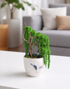 Mini Preserved Moss Willow Bonsai in White Ceramic Pot – Handmade Zen Desk Decor
