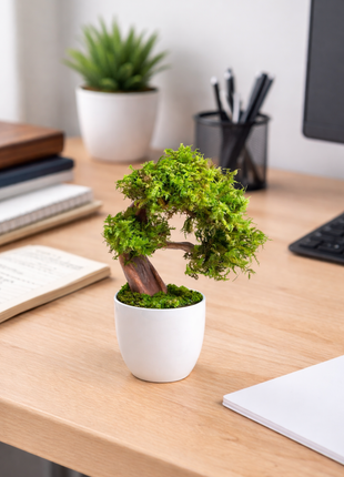 Mini Preserved Moss Bonsai Tree – Handmade Zen Japandi Home Decor
