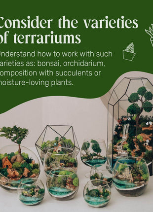 ONLINE COURSE: DIY Terrarium Making — Preserved Moss Art, 45 min Digital Product - MagicGardens