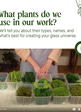 ONLINE COURSE: DIY Terrarium Making — Preserved Moss Art, 45 min Digital Product - MagicGardens