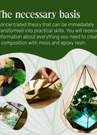 ONLINE COURSE: DIY Terrarium Making — Preserved Moss Art, 45 min Digital Product - MagicGardens