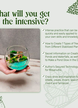 ONLINE COURSE: DIY Terrarium Making — Preserved Moss Art, 45 min Digital Product - MagicGardens