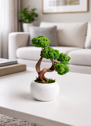 Mini Preserved Moss Bonsai Tree in White Ceramic Pot – Handmade Zen Desk Decor