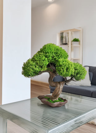 Emerald Canopy preserved bonsai tree