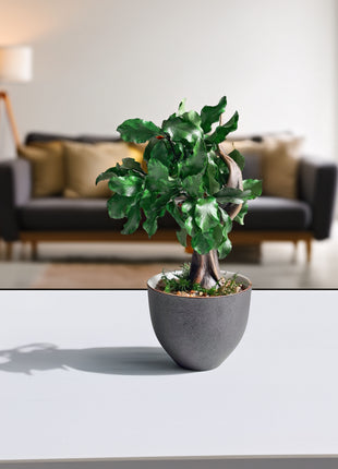 Mini Preserved Bonsai Tree in Gray Pot – Handmade Zen Japandi Decor