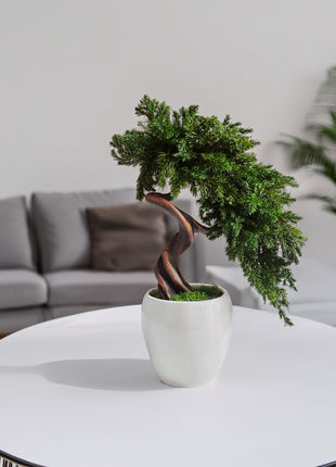 Preserved Juniper Bonsai Tree in White Ceramic Pot – Handmade No Watering Faux Bonsai, Japandi Zen Home Decor, Unique Gift Idea