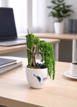 Mini Preserved Moss Willow Bonsai in White Ceramic Pot – Handmade Zen Desk Decor