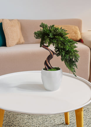Preserved Juniper Bonsai Tree in White Ceramic Pot – Handmade No Watering Faux Bonsai, Japandi Zen Home Decor, Unique Gift Idea