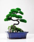 Bonsai tree Shelf decor - Desk decoration with epoxy moss plants - MagicGardens