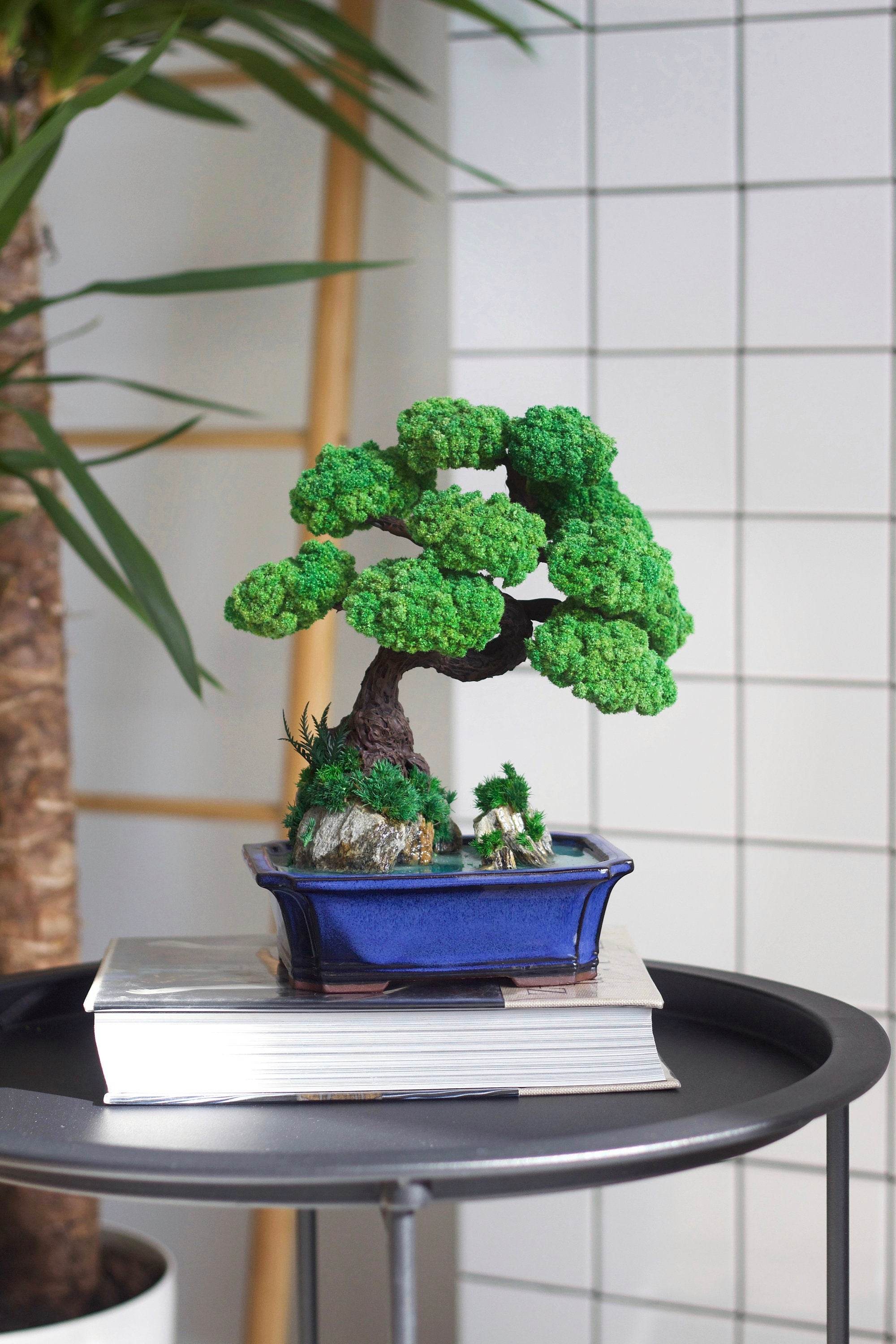 lucky bonsai tree Bonsai with Preserved moss