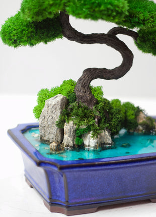 Bonsai tree on rocks with stabilized plants and moss