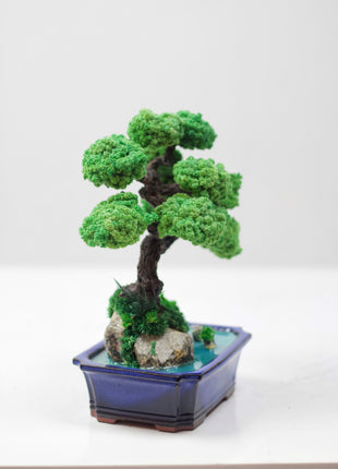 Bonsai tree with stabilized plants and preserved moss