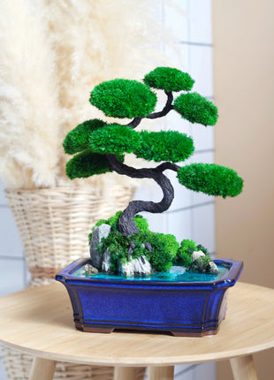 Bonsai tree from preserved moss on rocks with stabilized plants 