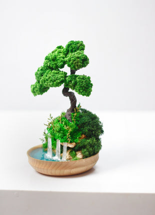 Unique Bonsai tree with waterfall, stabilized plants and preserved  moss