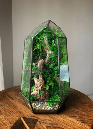 Crystal  glass terrarium with preserved moss