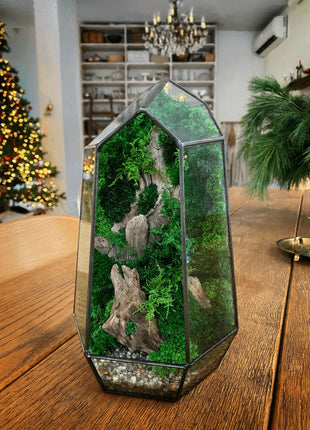 Geometric glass terrarium with preserved moss