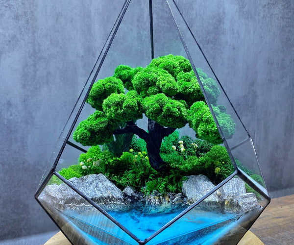 Kristalltropfen-Bonsai-Terrarium mit konserviertem Moos | Magische Gärten
