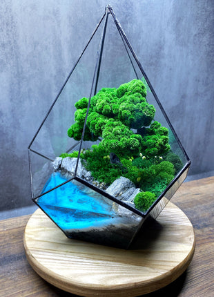 Crystal preserved moss glass terrarium In the drop
